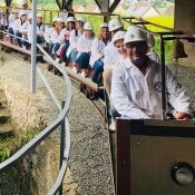 Karriere und Teambildung bei PLUP Anwaltskanzlei Mannheim